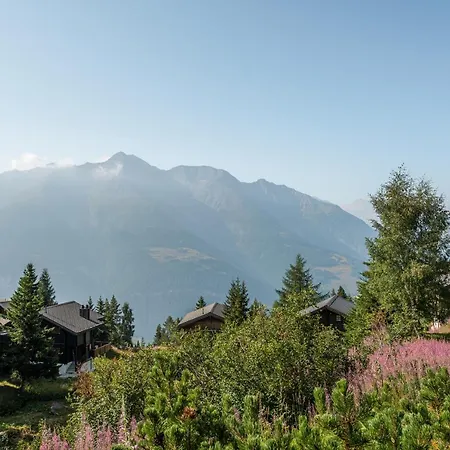 Am Buehl Og アパート