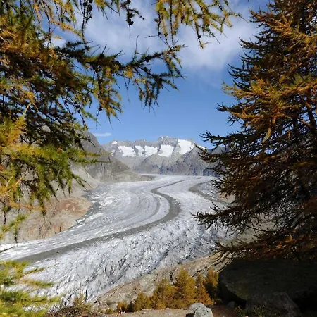 Am Buehl Og * Bettmeralp